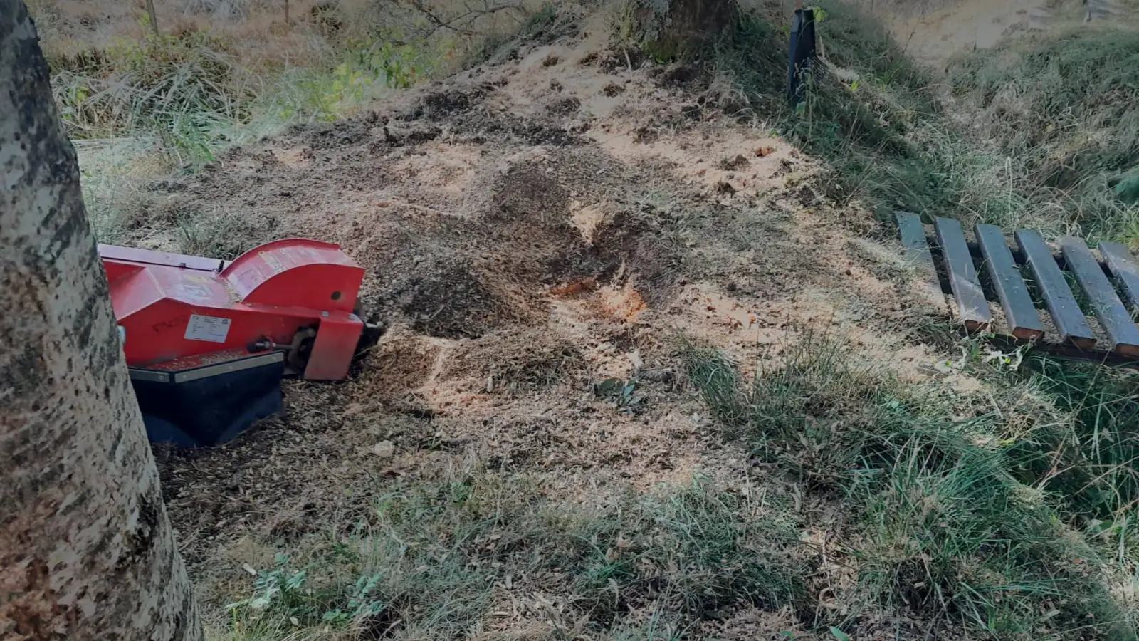 Rogneuse de souche posée à côté d'une souche fraîchement rognée et de ses copeaux, à Camprieu