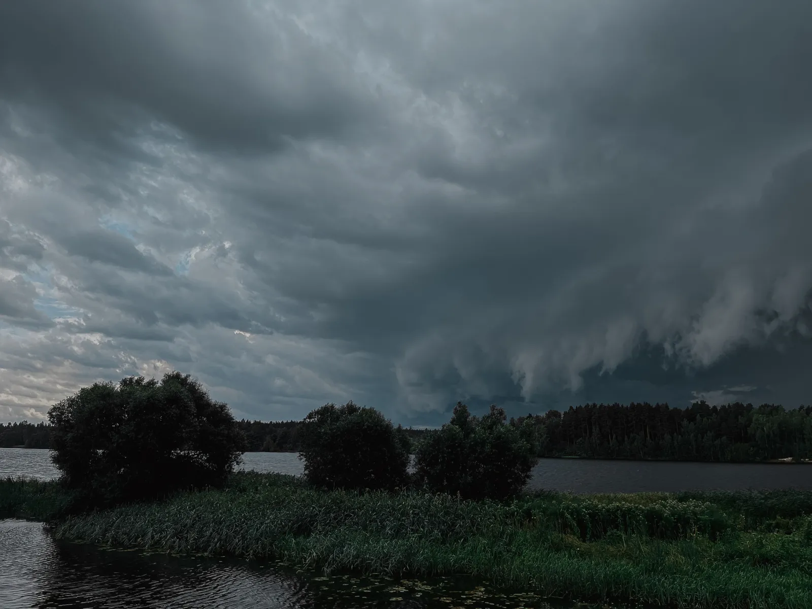 Ciel d'orage au-dessus des arbres