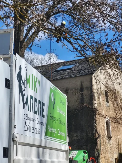Camion floqué Mik'Arbre Élagage — dépôt Chemin du Chayran Millau